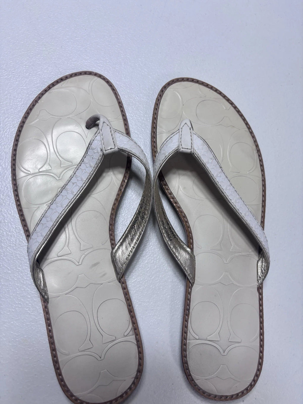 Coach Women's Thong Sandal Size 6 Metallic Sliver Leather Slip On Slide Flat