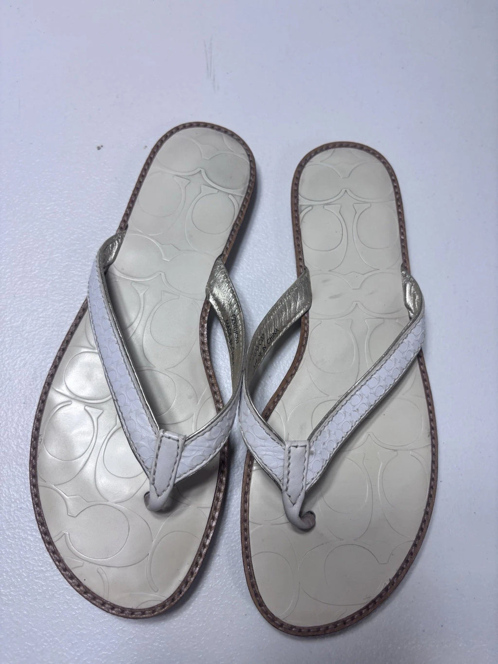 Coach Women's Thong Sandal Size 6 Metallic Sliver Leather Slip On Slide Flat